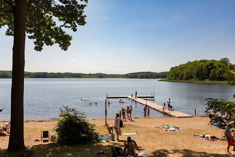 Ett sommarfoto som visar en brygga i en liten sjö. Solen skiner, det är varmt. Folk solar och badar.