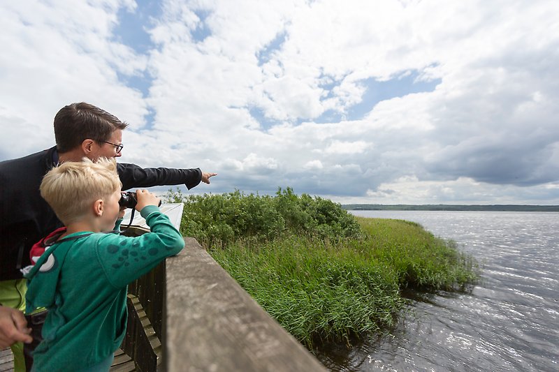 En man och en pojke står vid kanten av sjön i ett fågeltorn med en kikare.