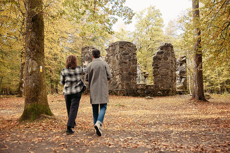Ett ungt par som går mot Biblioteksruinen på hösten. Ruinen består av några stenpelare.