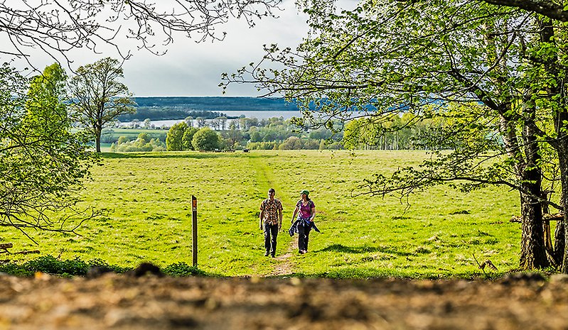 En man och en kvinna vandrar över en vidsträckt hed i sommargrönska med sjön i bakgrunden.