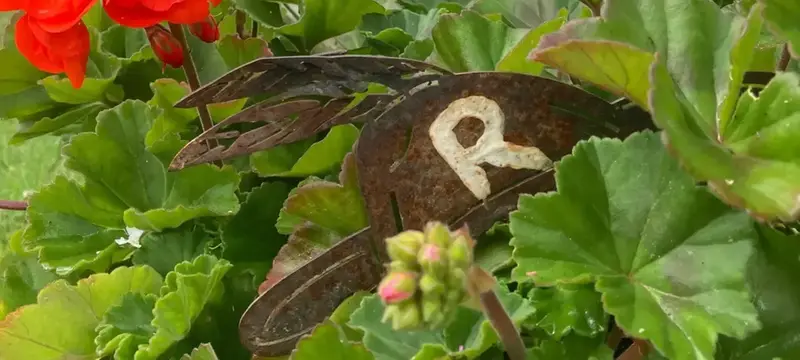 En metalhatt med en bokstav på i en buske.